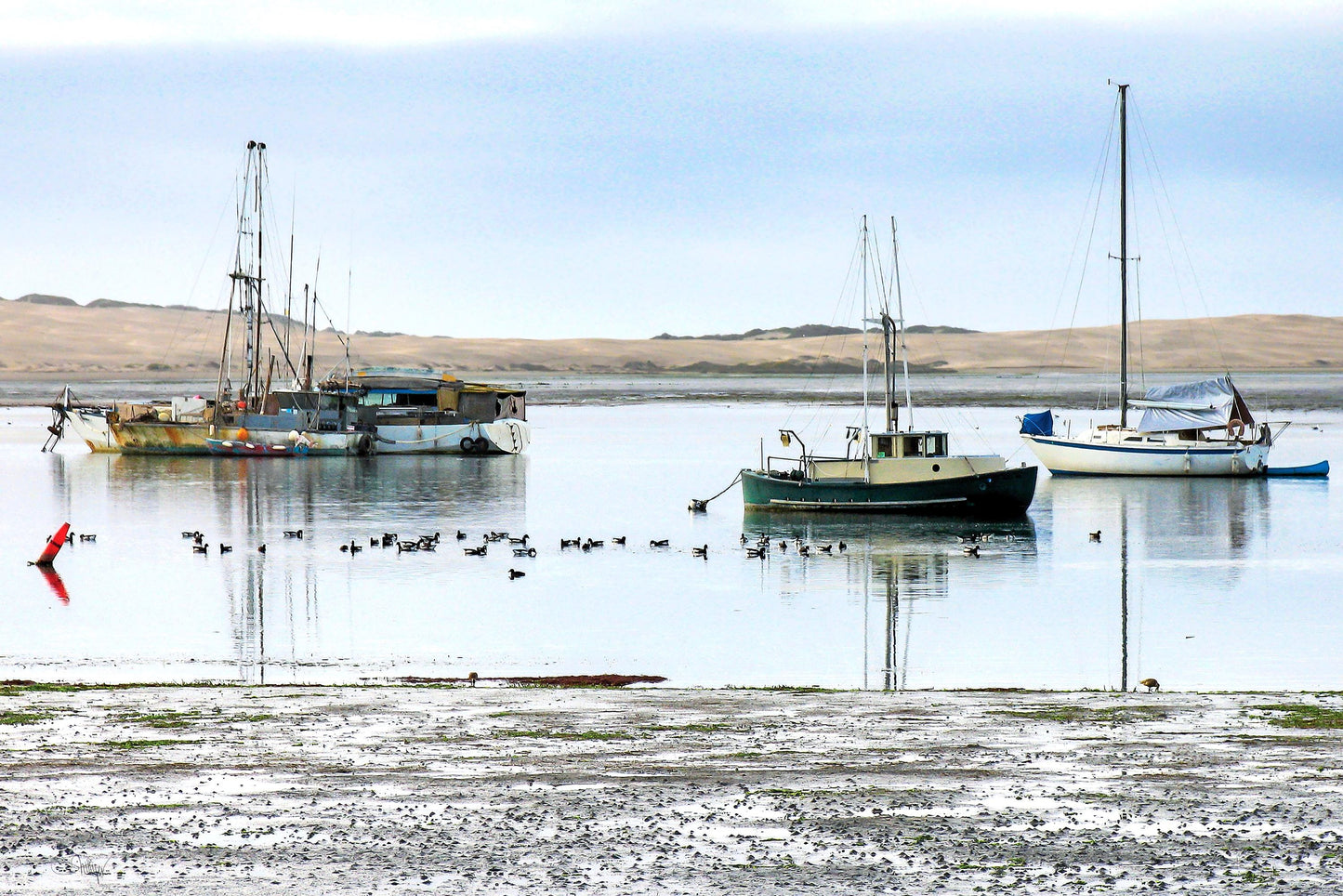 Three Moored at Morro Bay